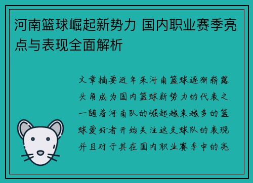 河南篮球崛起新势力 国内职业赛季亮点与表现全面解析